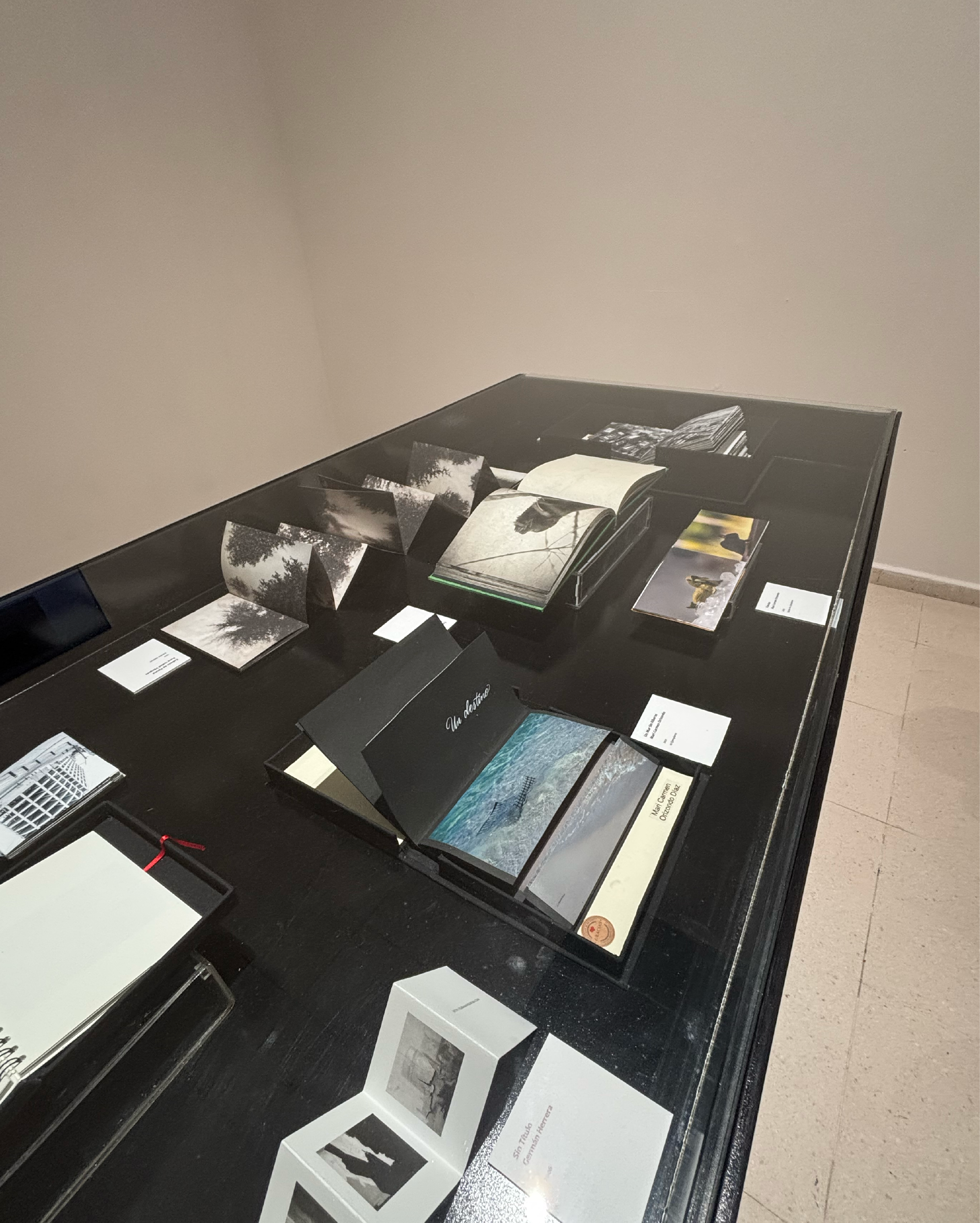 Photoimagen_2026 20