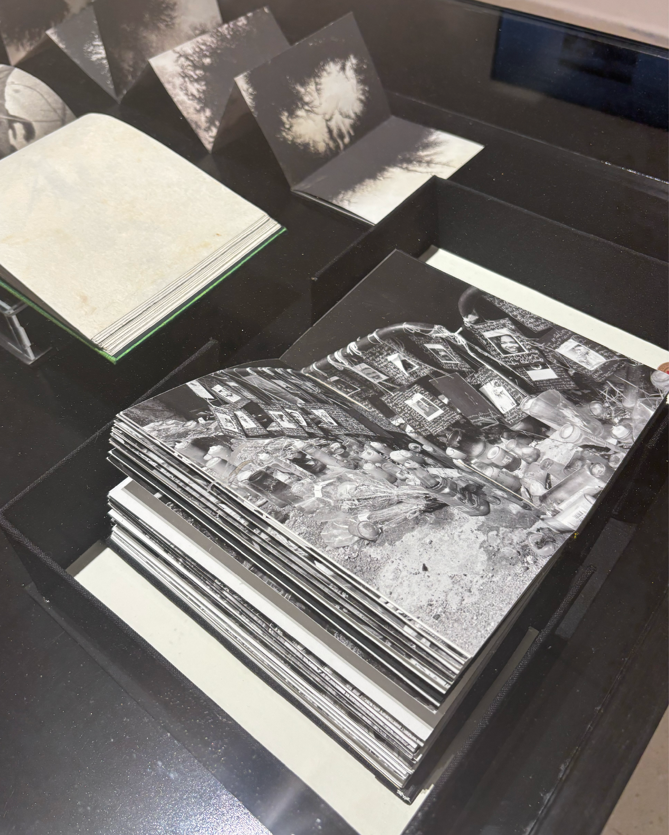Photoimagen_2026 22