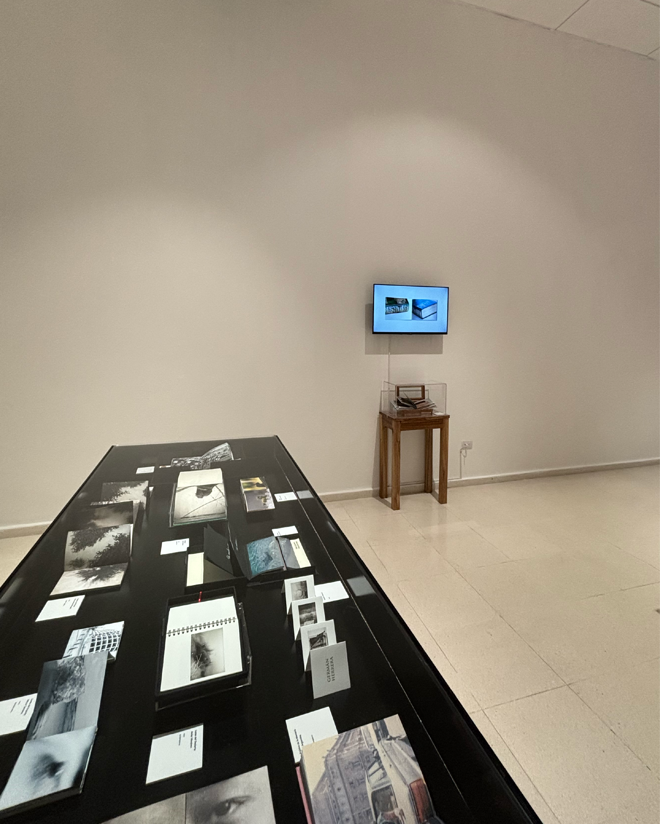 Photoimagen_2026 26